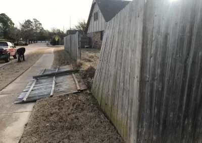 Expert Landscape Services